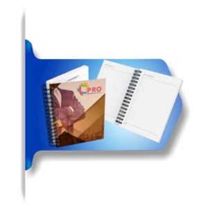 agenda 8